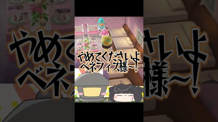 【あつ森】アルパカ夫婦の結婚を最低最悪なやり方で祝う夫婦Vtuber #shorts #あつ森 #ゲーム実況 #夫婦vtuber