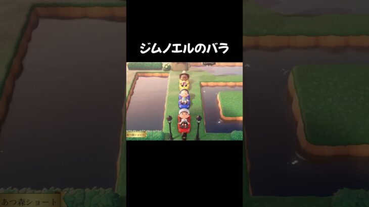 【あつ森】ジムノエルのバラ #acnh #animalcrossing #あつ森 #あつまれどうぶつの森