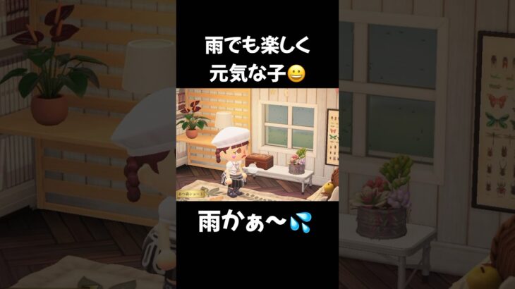 【あつ森】雨でも楽しく元気な子 #acnh #animalcrossing #あつまれどうぶつの森 #あつ森