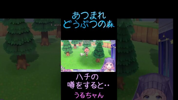 ハチの噂 #acnh #animalcrossing #あつ森 #あつまれどうぶつの森 #vstreamer #うるちャん #ゲーム実況 #切り抜き#shorts  #女性配信者 #uru_zzzz
