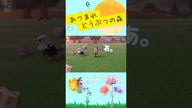 【あつ森】こんどはとれるといいね【くらゲーム】#あつ森 #あつまれどうぶつの森 #acnh #animalcrossingnewhorizons