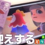【あつ森】どうしても忘れられない住民を迎える！これがamiiboカードのちから…！【#とまライブ】