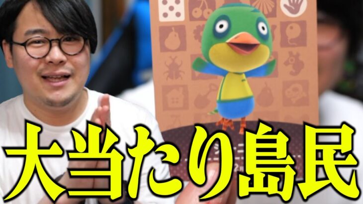【あつ森amiibo開封】大人気キャラも当たるなか厳しい審査を勝ち抜いた島民【ダイジェスト】