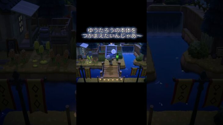今日こそつかまえるぞ‼️ #あつ森 #あつまれどうぶつの森 #あつ森好きな人と繋がりたい #animalcrossing #ゆめみ #おかめなっ島 #acnh #shorts #ゆうたろう #幽霊