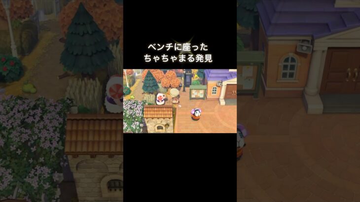 モコモコなちゃちゃまる🐑 #あつ森 #あつまれどうぶつの森 #あつ森好きな人と繋がりたい #animalcrossing #おかめなっ島 #acnh #shorts #ちゃちゃまる #コント