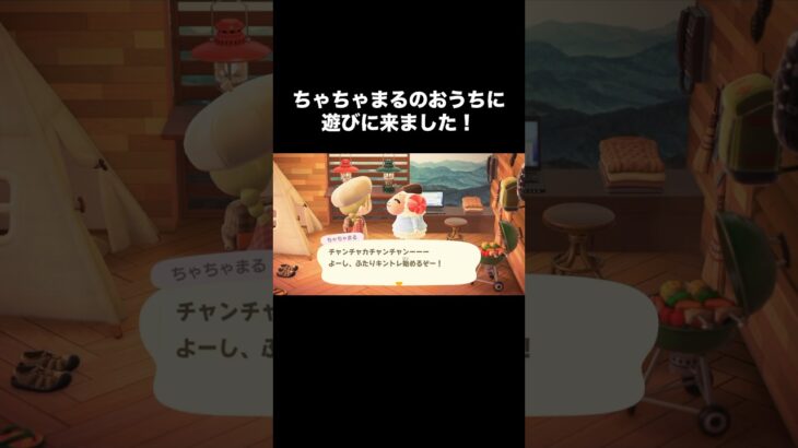 ちゃちゃまるイメチェン🐑 #あつ森 #あつまれどうぶつの森 #あつ森好きな人と繋がりたい #animalcrossing #おかめなっ島 #acnh #shorts #ちゃちゃまる #イメチェン