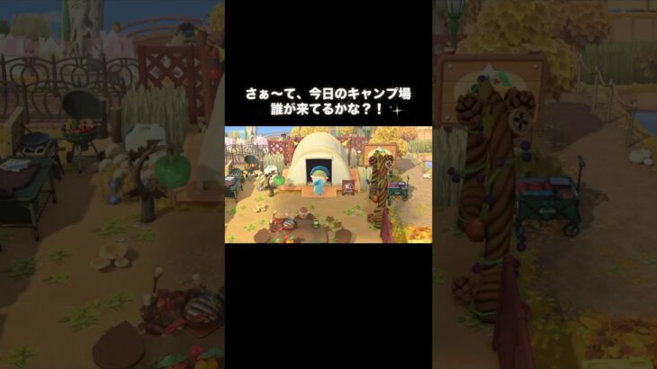 今日のキャンプ場ゲスト🐙 #あつ森 #あつまれどうぶつの森 #あつ森好きな人と繋がりたい #animalcrossing #ゆめみ #おかめなっ島 #acnh #shorts #camping