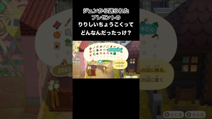 ジュンからのプレゼント🎁 #あつ森 #あつまれどうぶつの森 #あつ森好きな人と繋がりたい #animalcrossing #ゆめみ #おかめなっ島 #acnh #shorts #present