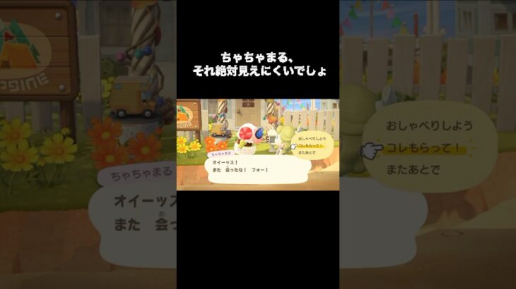 走れ！ちゃちゃまる🐑 #あつ森 #あつまれどうぶつの森 #あつ森好きな人と繋がりたい #animalcrossing #おかめなっ島 #acnh #shorts #ちゃちゃまる #present