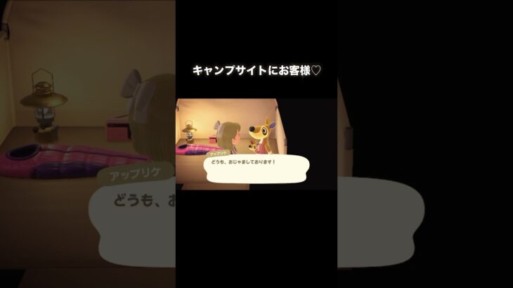情緒不安定～プロコン不調のせいで～ #あつ森 #あつまれどうぶつの森 #あつ森好きな人と繋がりたい #animalcrossing #ゆめみ #おかめなっ島 #acnh #shorts #switch