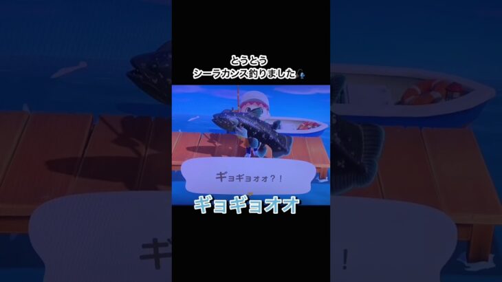 大きい魚を釣るとテンション上がりますよね！！！ #あつ森 #あつまれどうぶつの森 #あつまれどうぶつのもり #animalcrossing #animalcrossingnewhorizons