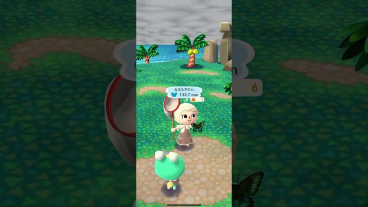 ポケ森 #animalcrossing #dantdmanimalcrossing #ポケ森しか勝たん #あつまれどうぶつの森 #あつ森 #animalcrossingnewhorizons