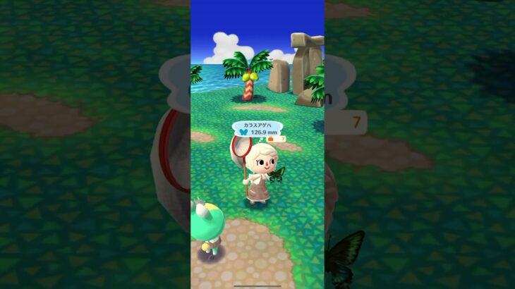 ポケ森 #animalcrossing #dantdmanimalcrossing #ポケ森しか勝たん #あつまれどうぶつの森 #あつ森 #animalcrossingnewhorizons