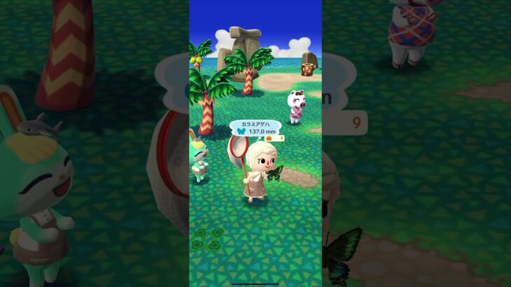 ポケ森 #animalcrossing #dantdmanimalcrossing #ポケ森しか勝たん #あつまれどうぶつの森 #あつ森 #animalcrossingnewhorizons