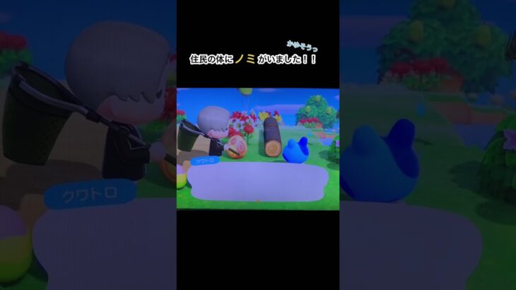 あつ森してたら、住民にノミがいることが分かりました。 #animalcrossing #あつ森 #japan #あつまれどうぶつの森 #どうぶつの森 #どうもり #あつまれどうぶつのもり