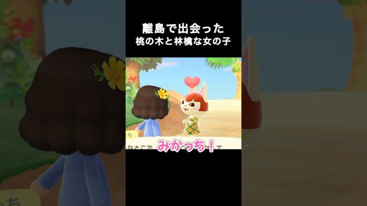 離島で桃と林檎に出会った！！🍑🍎 #あつ森 #ゲーム実況 #animalcrossing #nintendo #shorts