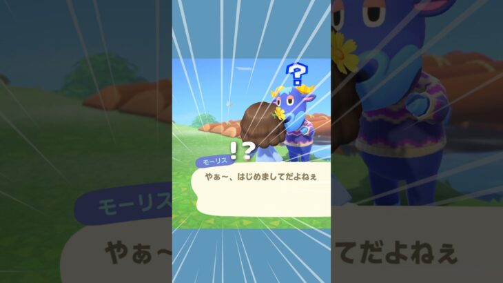 あつ森初心者、誰がレイコさんかわかりません！#あつ森 #ゲーム実況 #animalcrossing #nintendo #shorts