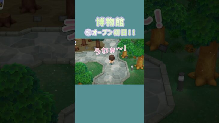 オープンほやほやの博物館に行ってみた！！ #あつ森 #ゲーム実況 #初心者 #animalcrossing #nintendo #shorts