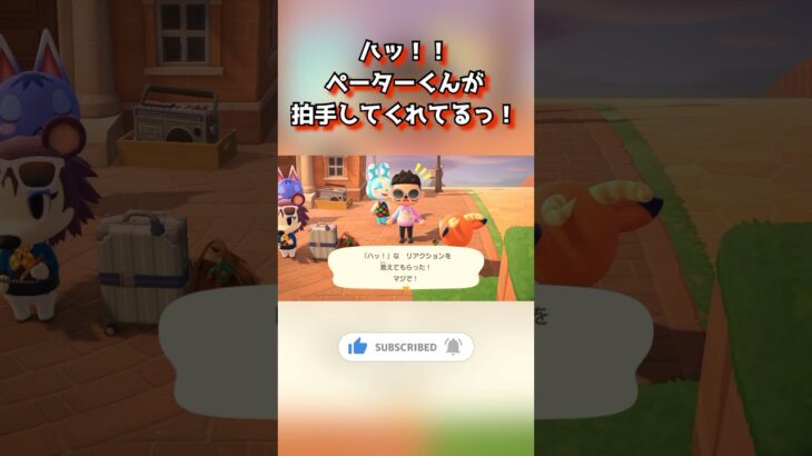 ハッ！！ペーターくんが拍手してくれてるっ！ #あつ森 #あつまれどうぶつの森 #animalcrossing #shorts
