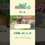 あつ森🌲おぬおおっおお、おじゃましますたぁぁ！！！ #あつ森 #animalcrossing #shorts