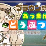 【あつ森】🤎brown🏝️🤎（4）島and住民ガチャ　#animalcrossing  #あつ森  #acnh