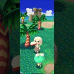 ポケ森 #あつまれどうぶつの森 #dantdmanimalcrossing #ポケ森しか勝たん #あつ森 #animalcrossing #animalcrossingnewhorizons