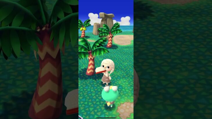 ポケ森 #あつまれどうぶつの森 #dantdmanimalcrossing #ポケ森しか勝たん #あつ森 #animalcrossing #animalcrossingnewhorizons