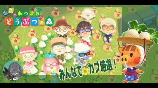 【あつ森】みんなでカブ厳選　＆エイブルおさわり「マ行」家具のおさわりetc【雑談　視聴者参加型】