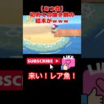 【あつ森】🐟初めてのまき餌で来た”でっかい魚影”…何が釣れた⁉️ #ゲーム実況#ゲーム #あつ森 #あつまれどうぶつの森 #games #切り抜き