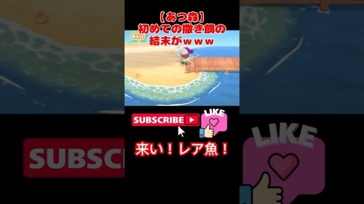【あつ森】🐟初めてのまき餌で来た”でっかい魚影”…何が釣れた⁉️ #ゲーム実況#ゲーム #あつ森 #あつまれどうぶつの森 #games #切り抜き