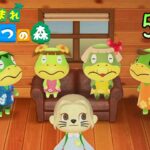 【あつ森】ほしのかけらプレゼント＆住人のしゃしん交換可１枚まで＆あなたの島を見せてください。夢番地か島に招待してくださいm(__)m　　【あつまれどうぶつの森ハッピーホームパラダイス】※ネタバレ注意