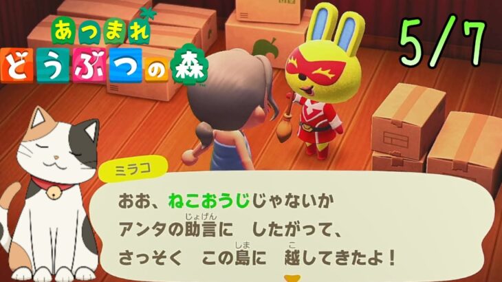 【あつ森】ほしのかけらプレゼント＆住人のしゃしん交換可１枚まで＆あなたの島を見せてください。夢番地か島に招待してくださいm(__)m　　【あつまれどうぶつの森ハッピーホームパラダイス】※ネタバレ注意