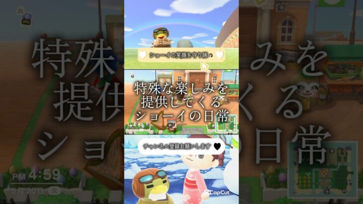 【マナーは守りましょう】 #nintendo #switch #ゲーム実況 #あつ森