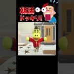 はちor落とし穴❓🐝💥#あつ森 #落とし穴 #ドッキリ