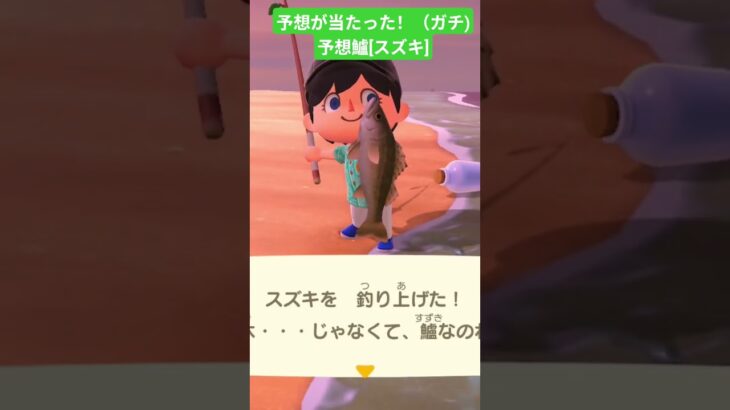 予想が当たった！#あつまれどうぶつの森 #あつ森 #ゲーム #short