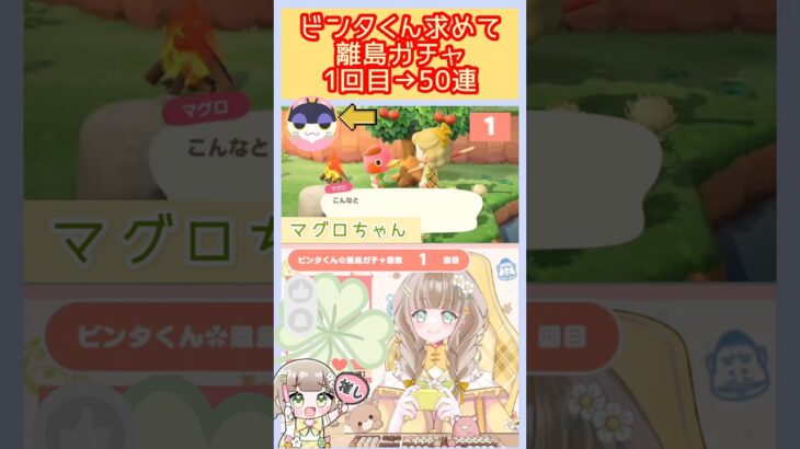 【あつ森】あつ森離島ガチャ配信 ビンタくん求めて あつ森ショート  あつまれどうぶつの森【 離島ガチャ / 住民厳選 】#あつ森離島ガチャ  #short  #あつ森縦型配信  #あつ森vtuber
