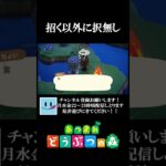 まっっじで招いて大正解【あつ森】#shorts  #あつまれどうぶつの森 #あつ森 #あつ森初心者