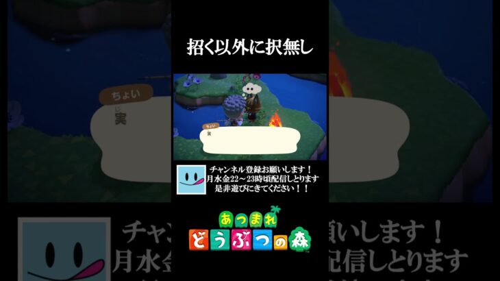 まっっじで招いて大正解【あつ森】#shorts  #あつまれどうぶつの森 #あつ森 #あつ森初心者