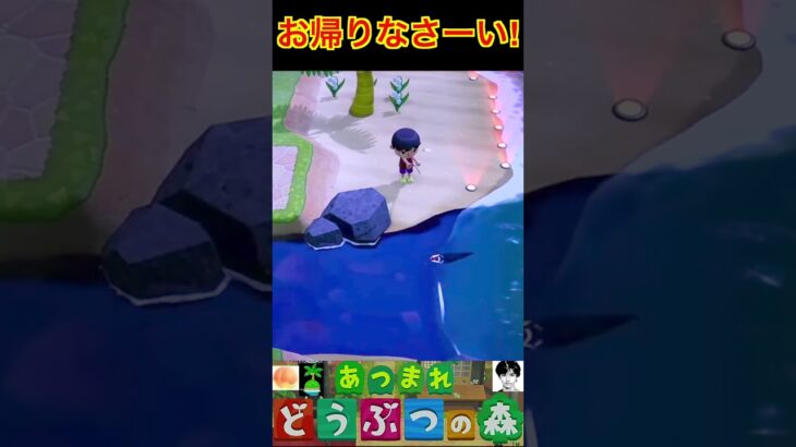お帰りなさーい! #あつまれどうぶつの森 #shorts #あつ森