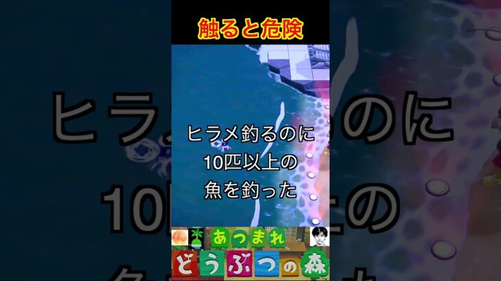 触ると危険 #あつまれどうぶつの森 #shorts #あつ森