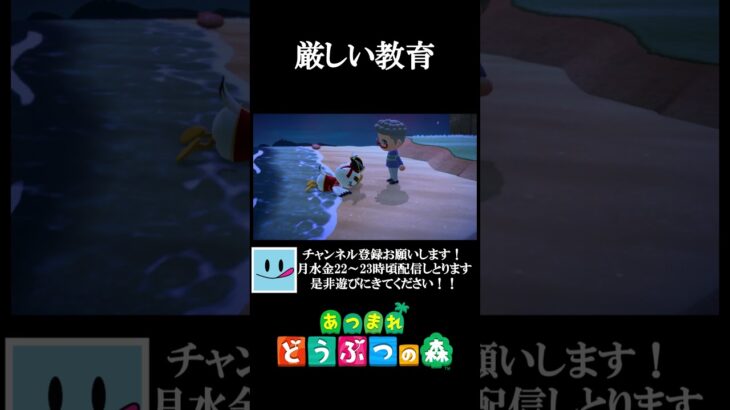 ヤドカリはちゃんと捕まえなあかんで？？【あつ森】#shorts  #あつまれどうぶつの森 #あつ森 #あつ森初心者