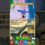 ホホジロザメのジャンプ攻撃 #あつまれどうぶつの森 #shorts #あつ森