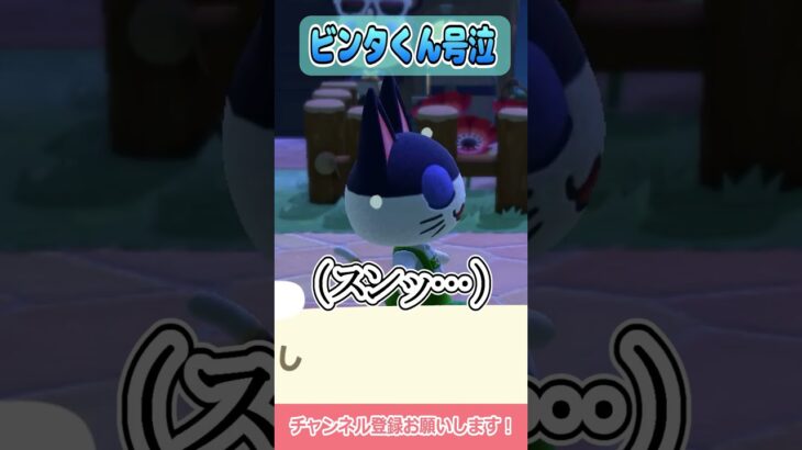 ビンタくん泣かせちゃった！ #shorts #あつ森
