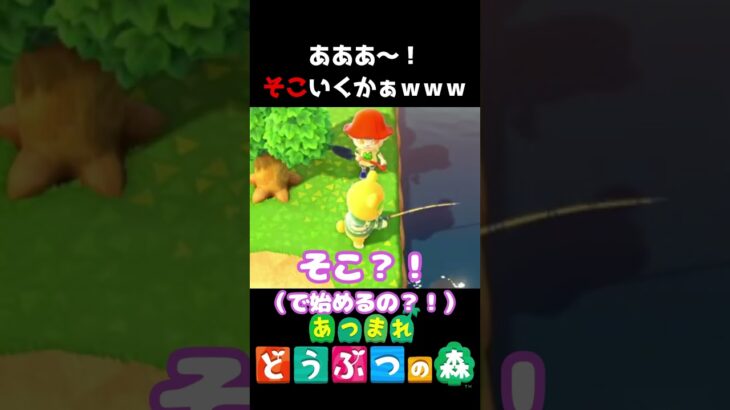 【 #あつ森 】あああ～！そこいくかぁｗｗｗ #shorts #あつまれどうぶつの森  #切り抜き #ゲーム実況 #ゲーム #けいとかんな劇場