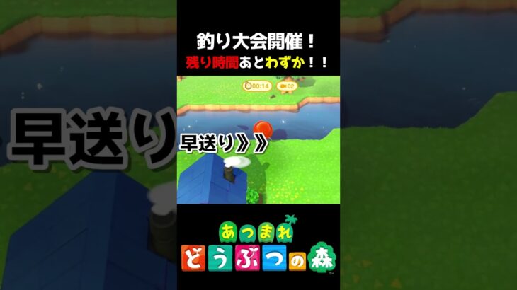 【 #あつ森 】釣り大会開催！残り時間あとわずか！！ #shorts #あつまれどうぶつの森  #切り抜き #ゲーム実況 #ゲーム #けいとかんな劇場