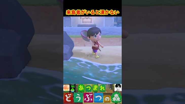 来島者がいると湧かない #あつまれどうぶつの森 #shorts #あつ森
