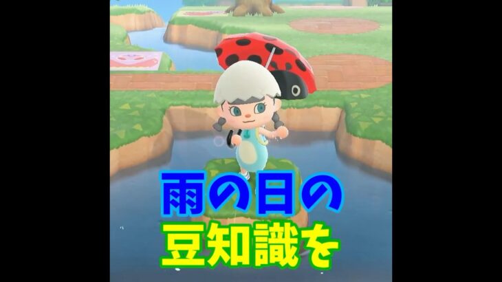【あつ森】雨の日の豆知識を紹介する・・☔ #shorts #あつ森 #あつまれどうぶつの森 #ゲーム実況