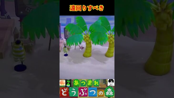 遠回りすべき #あつまれどうぶつの森 #shorts #あつ森