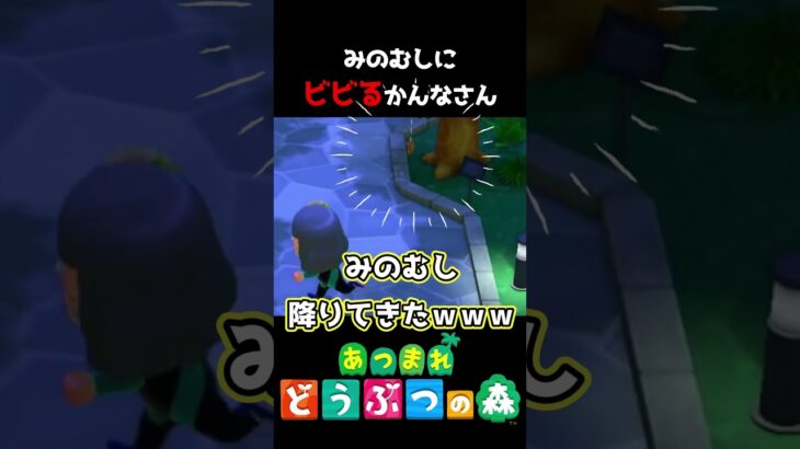 【 #あつ森 】みのむしにビビるかんなさん #shorts #あつまれどうぶつの森  #切り抜き #ゲーム実況 #ゲーム #けいとかんな劇場