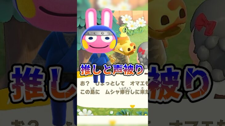 離島ガチャでいろんな子に出会いました。　#shorts  #あつ森 #あつまれどうぶつの森